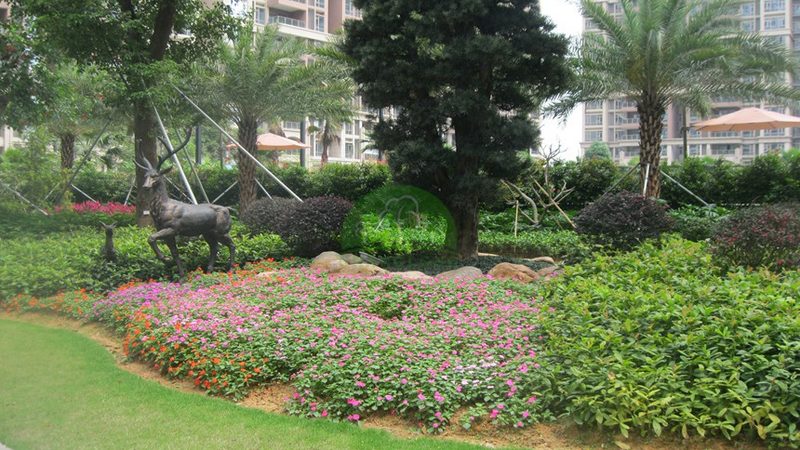 庭院设计施工预算清单：如何科学制定与控制成本**