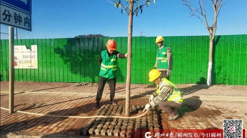 在了解市场价格的基础上，制定合理的施工方案。施工方案应包括以下内容：