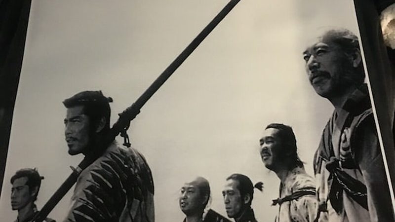 园林绿化乔木批发价格：揭秘其背后的影响因素**