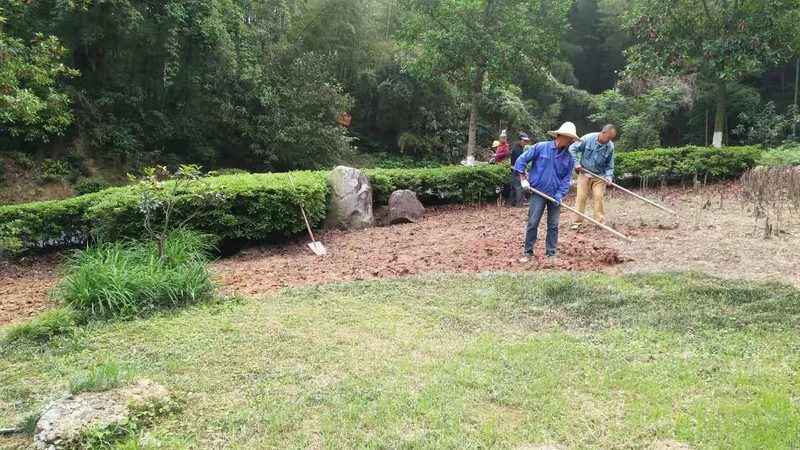 四川苗木基地的优与劣：揭秘其背后的秘密**
