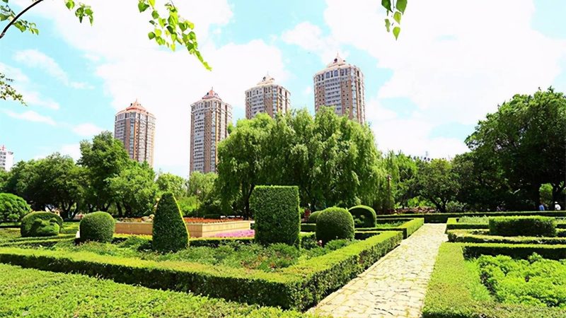绿化资质甲级与乙级：揭秘资质背后的差异与选择