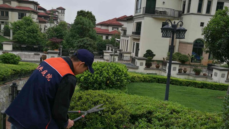 垂直绿化墙维护费用，你了解多少？**