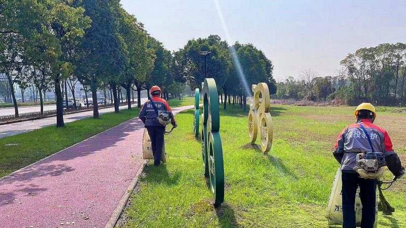 别墅花园设计：尺寸与价格参考解析