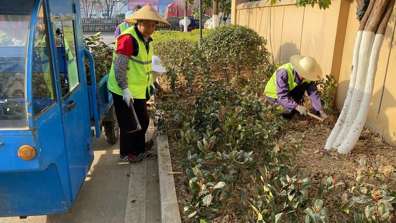 别墅庭院绿化预算怎么做：关键因素与合理规划