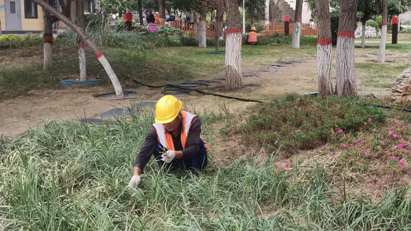 道路绿化工程清单计价步骤全解析**