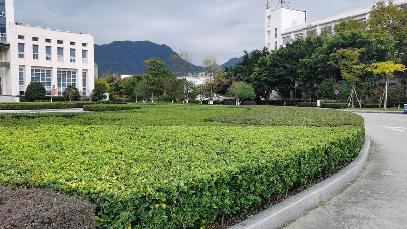 植生袋安装验收，这些标准你了解吗？**