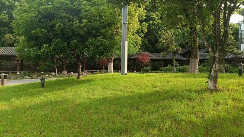 绿化苗木种植公司如何挑选？揭秘五大关键要素