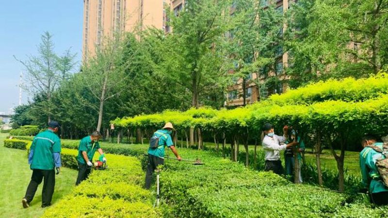 上海中式园林景观设计：传承与创新的艺术之旅**